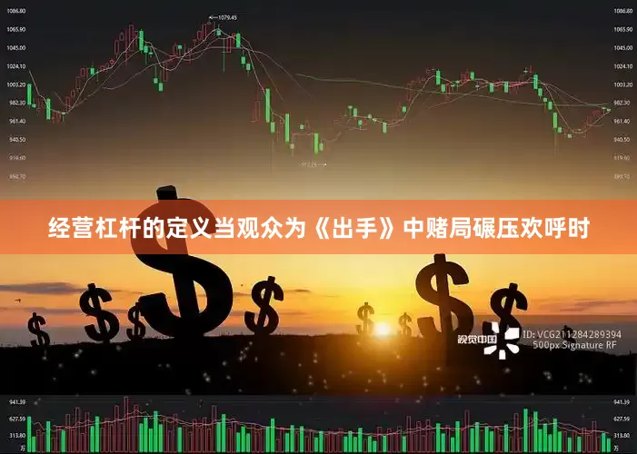 经营杠杆的定义当观众为《出手》中赌局碾压欢呼时
